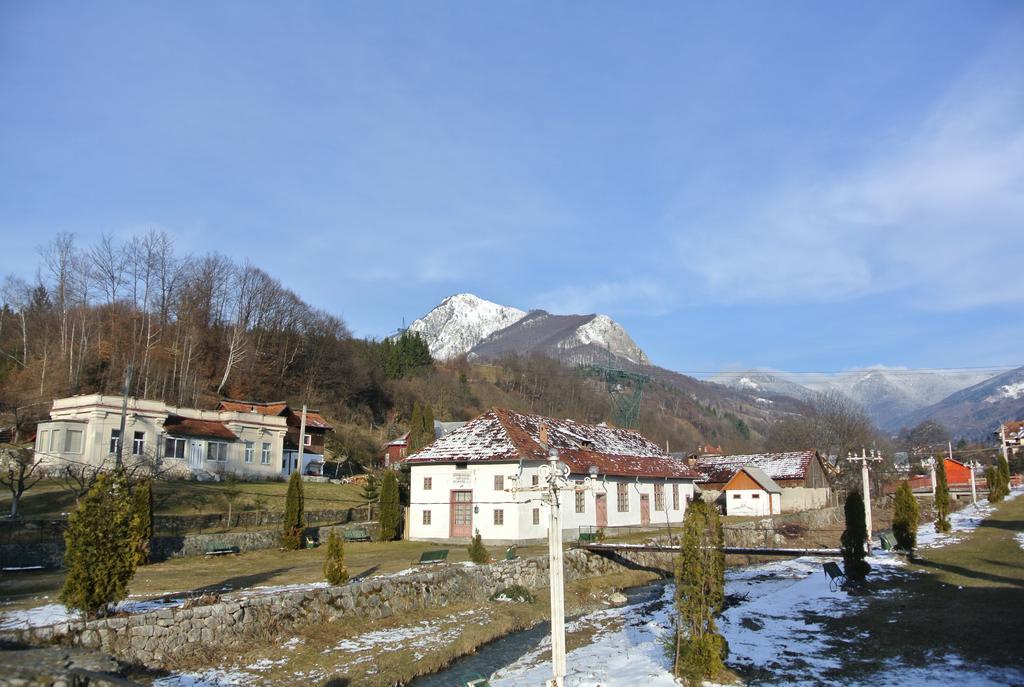Ferienwohnung Surasul Muntelui Dragoslavele Exterior foto