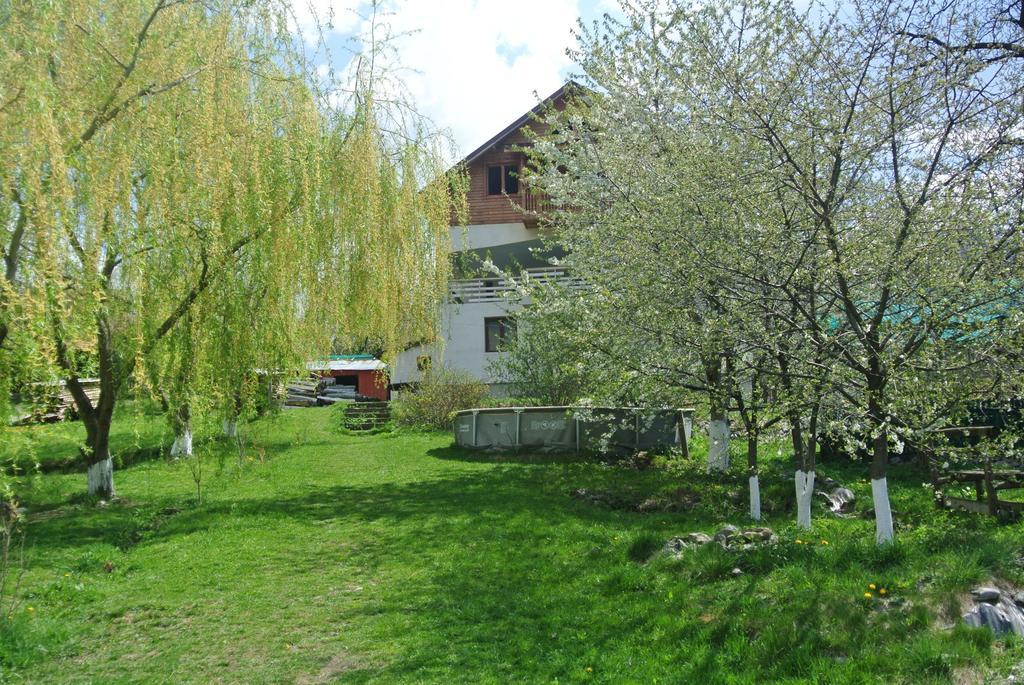 Ferienwohnung Surasul Muntelui Dragoslavele Exterior foto