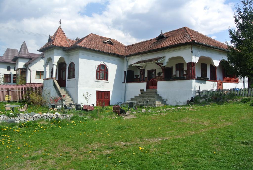 Ferienwohnung Surasul Muntelui Dragoslavele Exterior foto