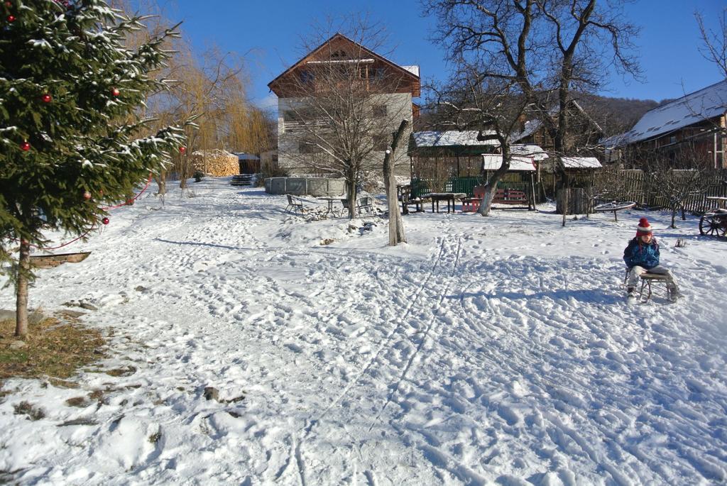 Ferienwohnung Surasul Muntelui Dragoslavele Exterior foto