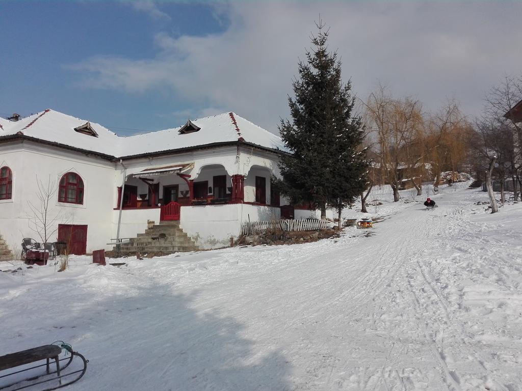 Ferienwohnung Surasul Muntelui Dragoslavele Exterior foto